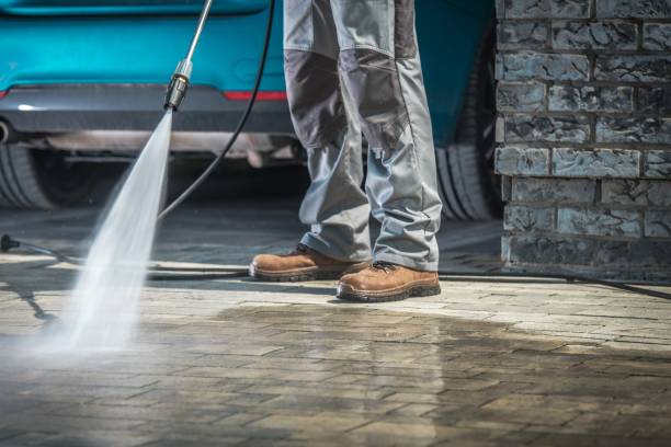  Plains, MT Pressure Washing Pros