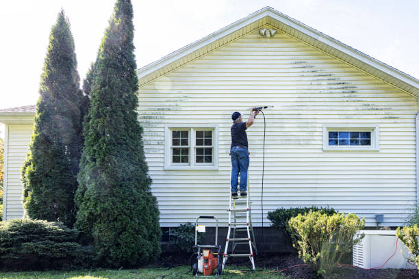 Best Gutter Cleaning  in Plains, MT